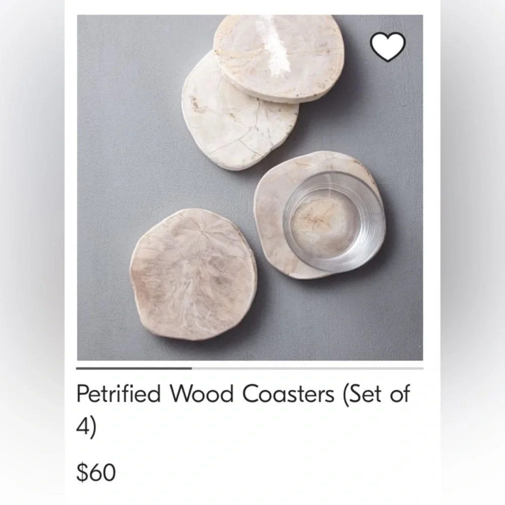 West Elm Petrified coasters set of 4